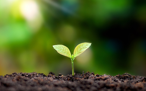 친환경 선도 기업